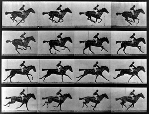 chevaux-muybridge-sos-photos-traitement-image-retouche-editing-prise-de-vue
